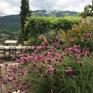https://agriturismo-braccicorti.it-tuscanyhotel.com